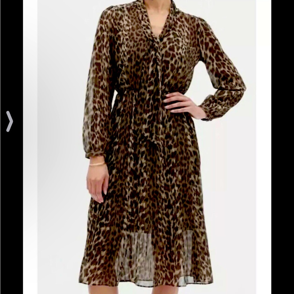 Banana Republic Leopard Midi Chiffon Dress